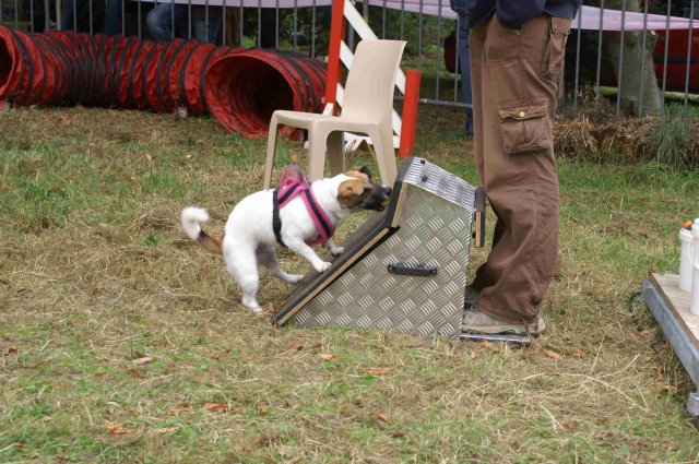 foire-haricots 2011-09-17et18